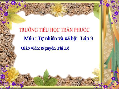 Bài 30. Hoạt động nông nghiệp