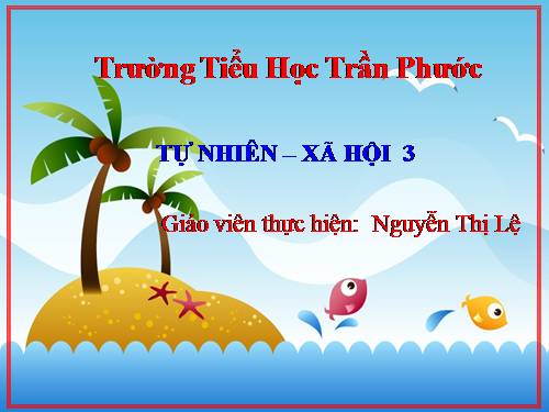 Bài 19. Các thế hệ trong một gia đình