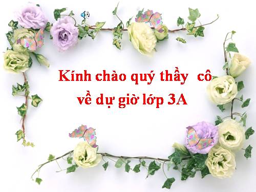 Bài 48. Quả