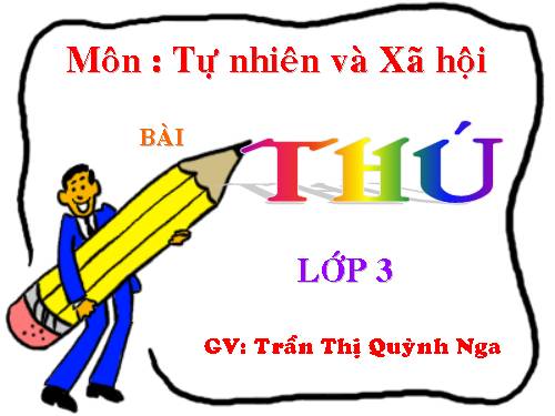 Bài 54. Thú