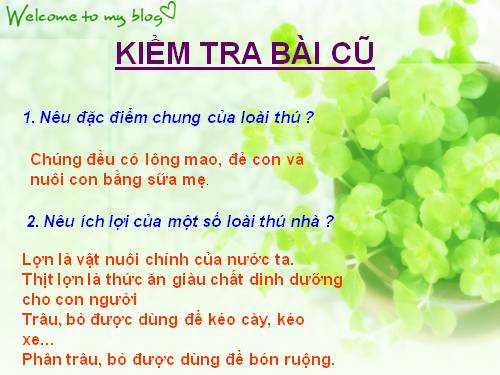 Bài 55. Thú (tiếp theo)