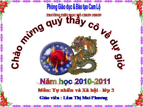 Bài 38. Vệ sinh môi trường (tiếp theo)