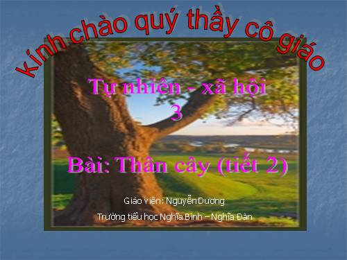 Bài 42. Thân cây (tiếp theo)