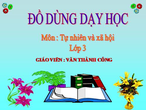 Do dung day hoc TNXH Lop 3