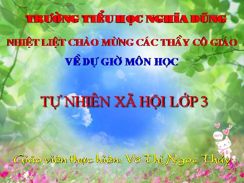 Bài 38. Vệ sinh môi trường (tiếp theo)