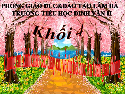 Bài 33. An toàn khi đi xe đạp