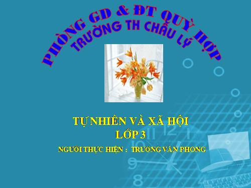 Bài 39. Ôn tập: Xã hội