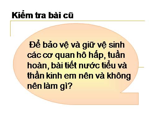 Bài 19. Các thế hệ trong một gia đình