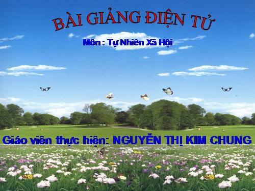 Bài 36. Vệ sinh môi trường