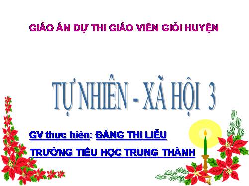 Bài 33. An toàn khi đi xe đạp