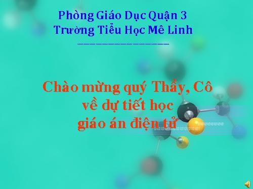 Bài 49. Động vật