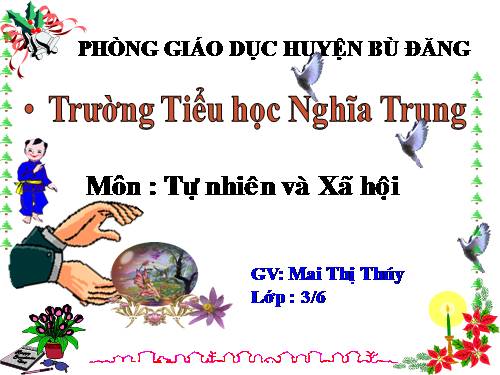 Bài 32. Làng quê và đô thị