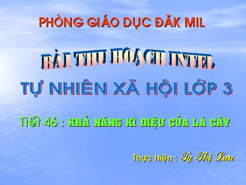 Bài 46. Khả năng kì diệu của lá cây