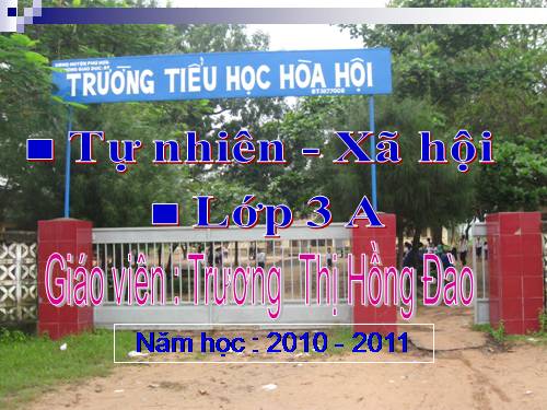 Bài 29. Các hoạt động thông tin liên lạc