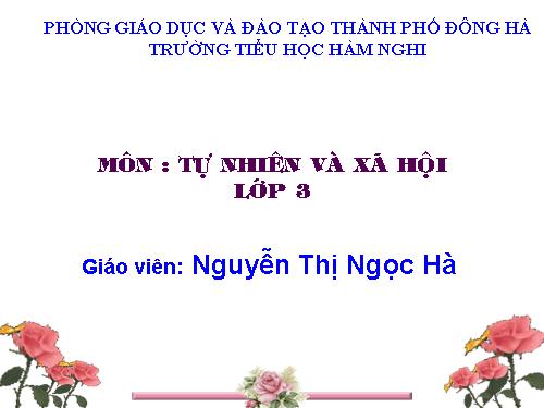 Bài 24. Một số hoạt động ở trường