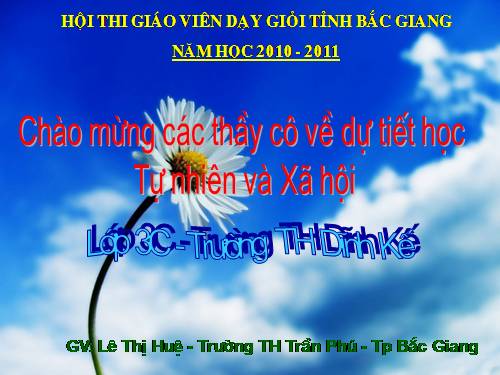 Bài 21-22. Thực hành: Phân tích và vẽ sơ đồ mối quan hệ họ hàng