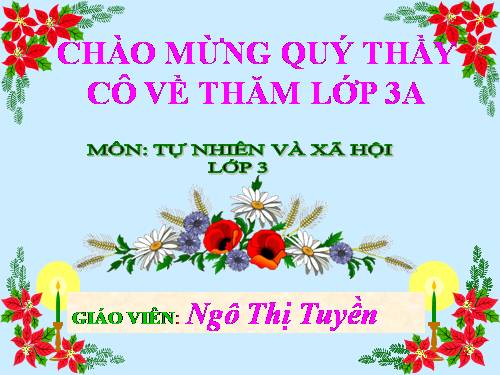 Bài 26. Không chơi các trò chơi nguy hiểm