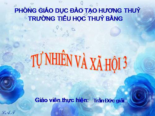 Bài 61. Trái Đất là một hành tinh trong hệ Mặt Trời