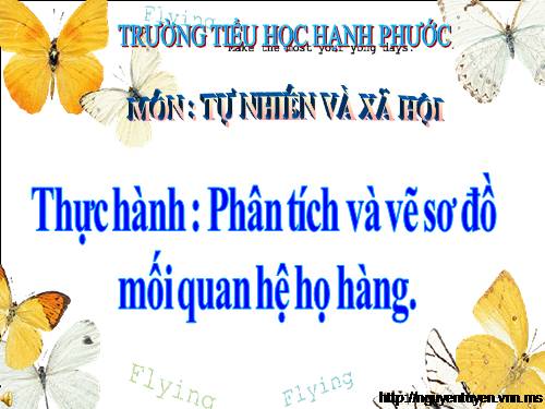 Bài 21-22. Thực hành: Phân tích và vẽ sơ đồ mối quan hệ họ hàng