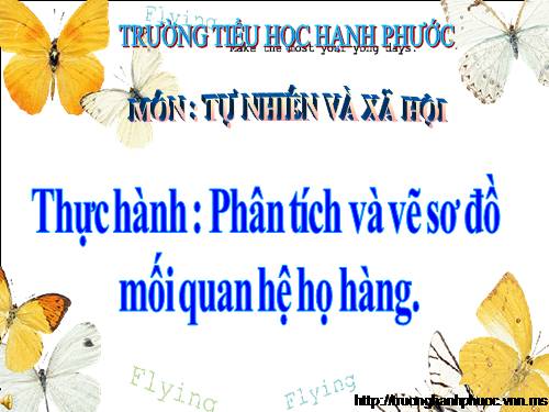 Bài 21-22. Thực hành: Phân tích và vẽ sơ đồ mối quan hệ họ hàng