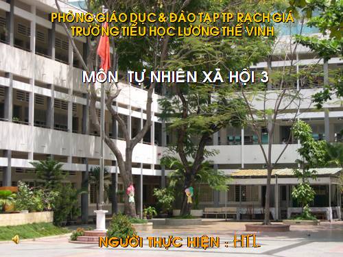 Bài 24. Một số hoạt động ở trường