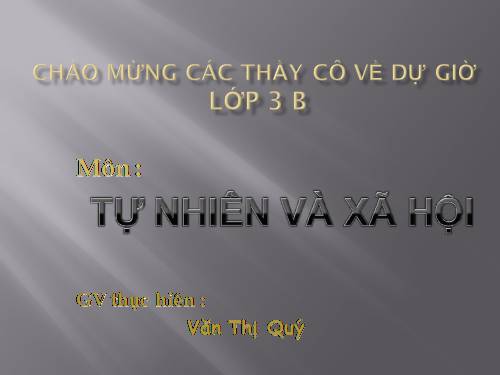 Bài 29. Các hoạt động thông tin liên lạc