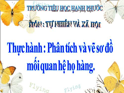 Bài 21-22. Thực hành: Phân tích và vẽ sơ đồ mối quan hệ họ hàng