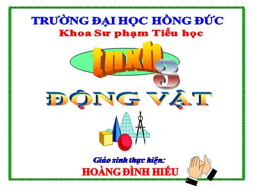 Bài 49. Động vật