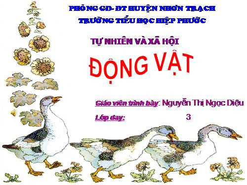 Bài 49. Động vật