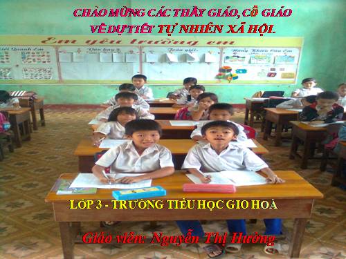 Bài 19. Các thế hệ trong một gia đình