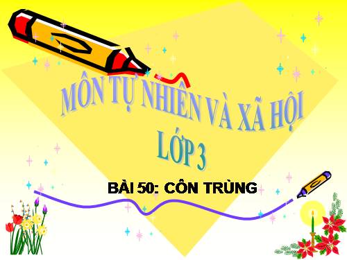 Bài 50. Côn trùng