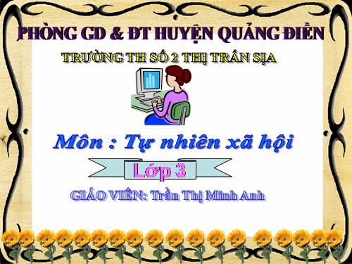 Bài 44. Rễ cây (tiếp theo)