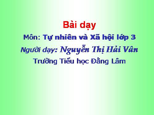 Bài 27-28. Tỉnh (thành phố) nơi bạn đang sống