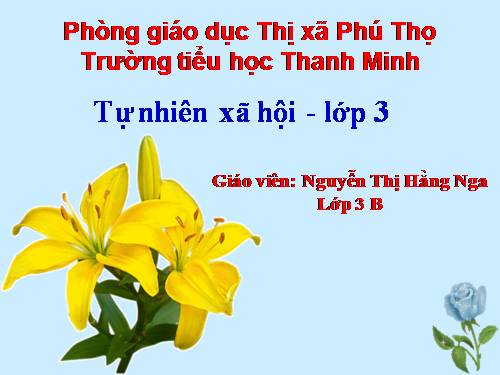 Bài 30. Hoạt động nông nghiệp