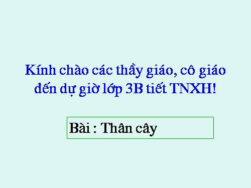 Bài 41. Thân cây