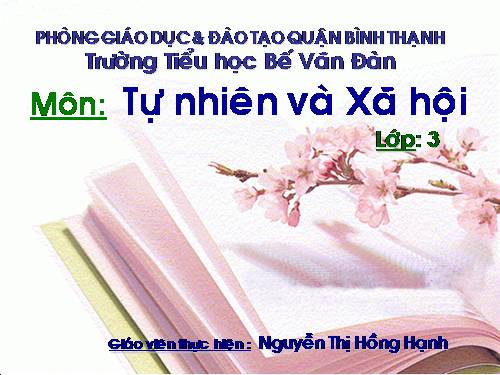 Bài 47. Hoa