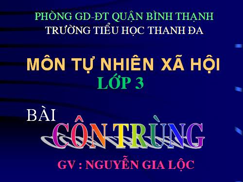 Bài 50. Côn trùng