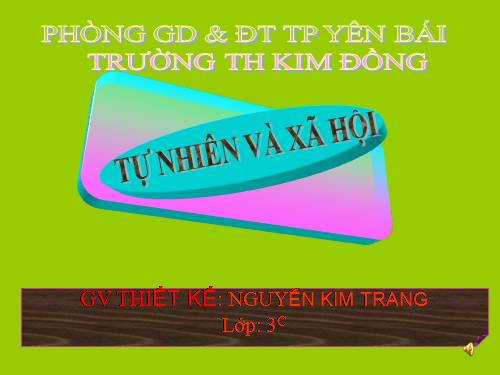 Bài 63. Ngày và đêm trên Trái Đất