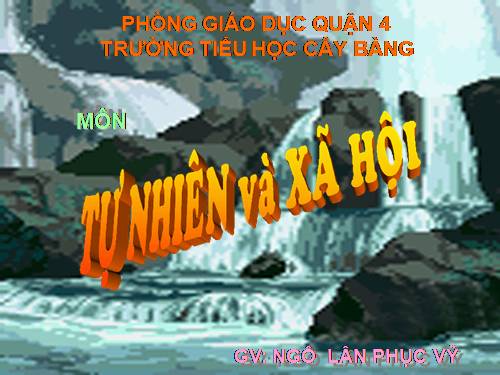 Bài 20. Họ nội, họ ngoại