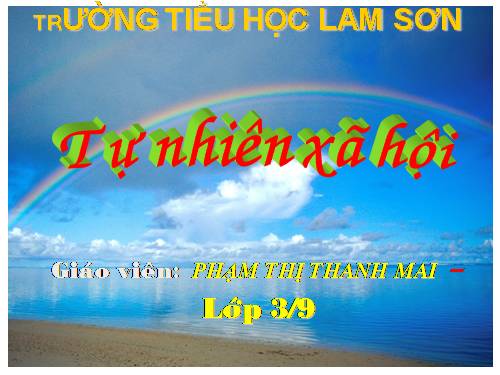 Bài 27-28. Tỉnh (thành phố) nơi bạn đang sống