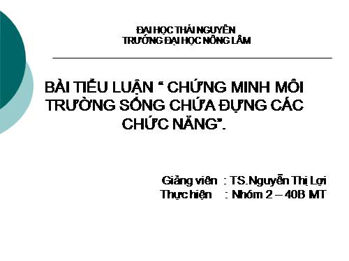 chức năng của môi trường