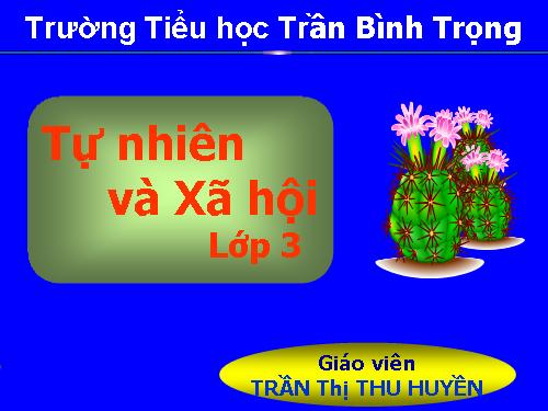 Bài 58. Mặt Trời