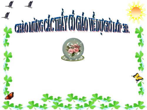 Bài 38. Vệ sinh môi trường (tiếp theo)