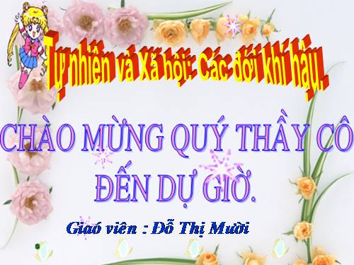 Bài 65. Các đới khí hậu