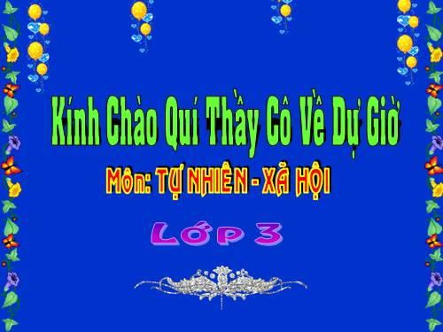 Bài 33. An toàn khi đi xe đạp