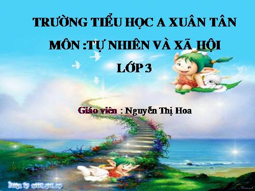 Bài 60. Sự chuyển động của Trái Đất