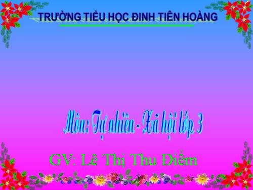 Bài 55. Thú (tiếp theo)