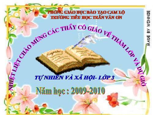 Bài 19. Các thế hệ trong một gia đình