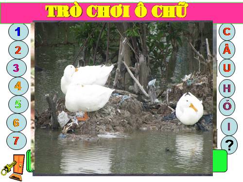 bai 49: Tro choi o chu