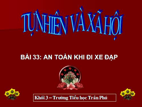 Bài 33. An toàn khi đi xe đạp